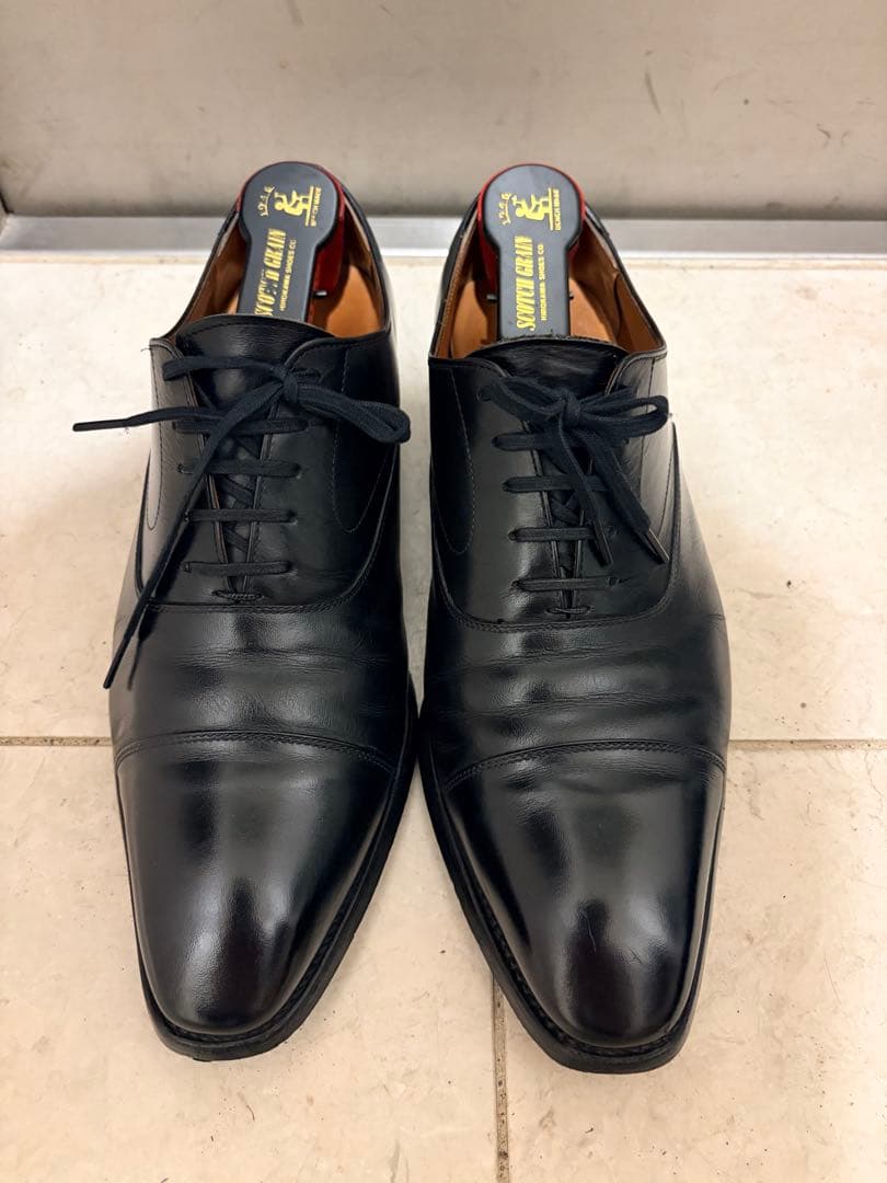 スコッチグレイン トリノ　25.5cm イタリアイルチア社　OXANILカーフ