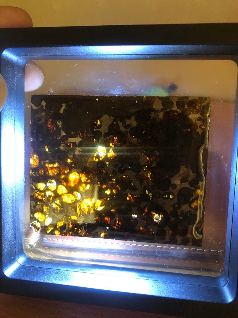 パラサイト隕石