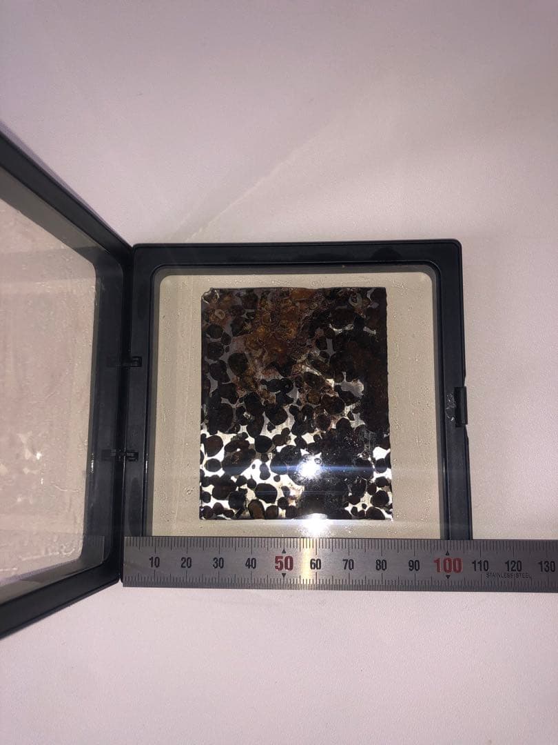 パラサイト隕石