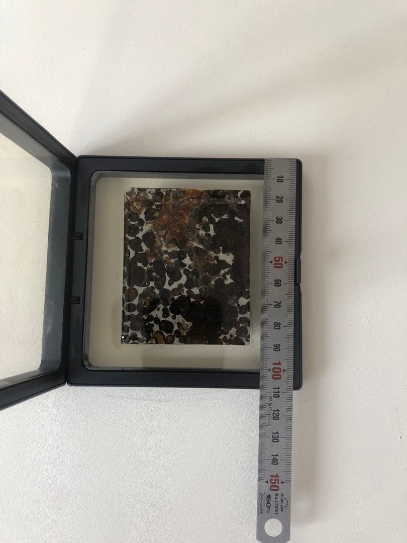 パラサイト隕石