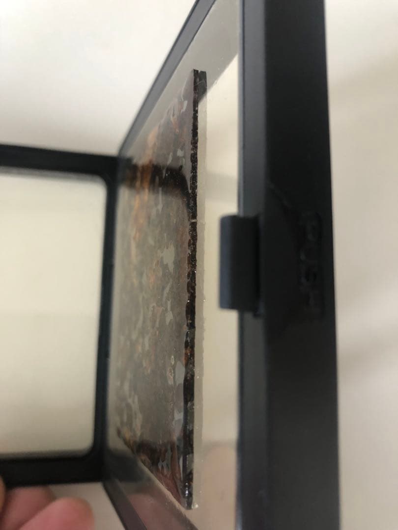 パラサイト隕石