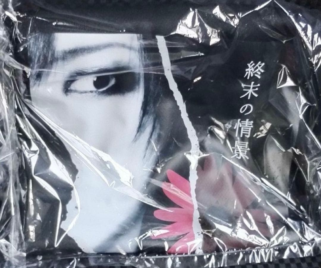 ぱ*ぱ様 D≒SIRE 独白25周年 福袋 新品 kαin 藤田幸也 終末の情景