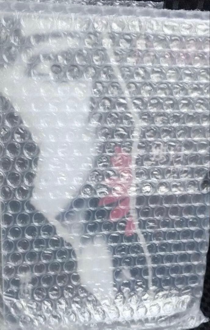 ぱ*ぱ様 D≒SIRE 独白25周年 福袋 新品 kαin 藤田幸也 終末の情景