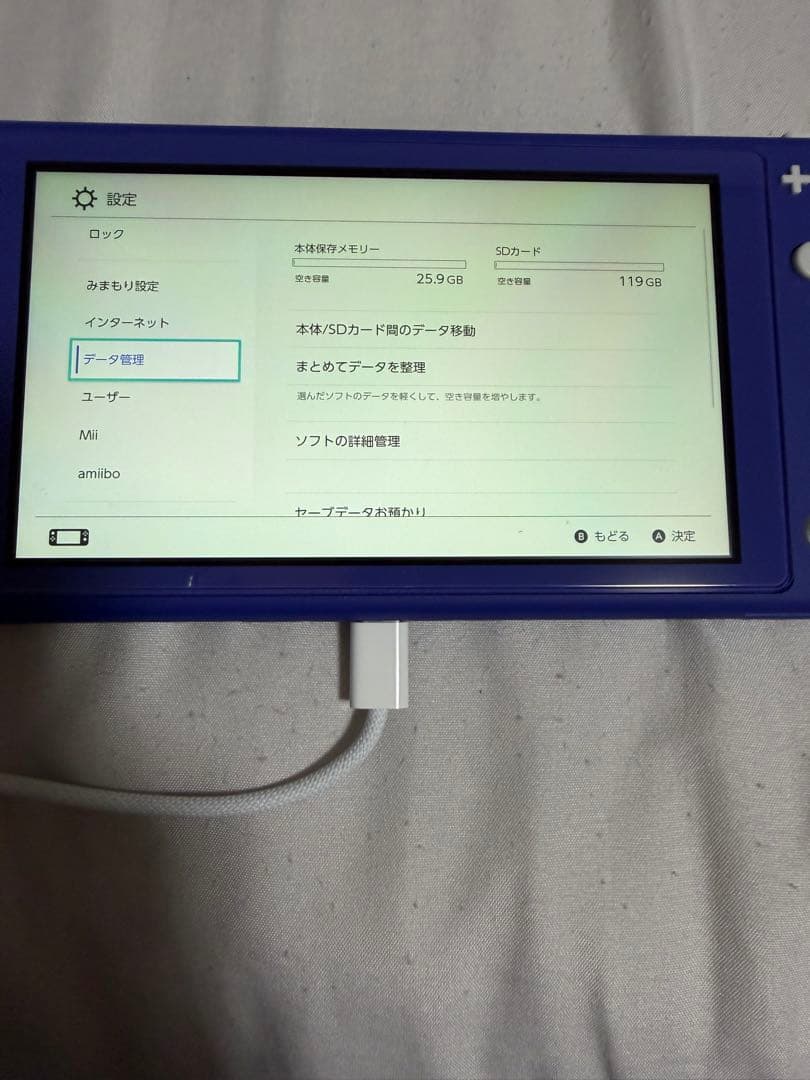 Nintendo Switch Lite ブルー 本体＋おまけつき