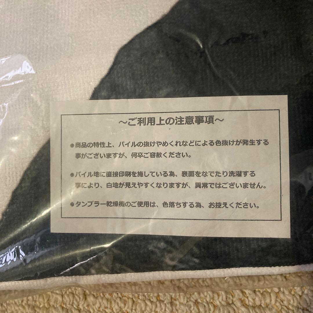 き*ん様 【新品未使用】つば九郎　等身大タオルケット　まってたよー　完売品