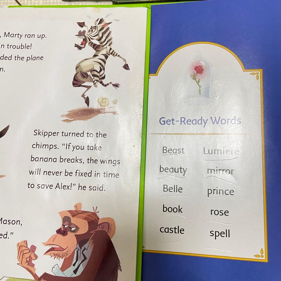 Leap Frog リープフロッグleapreader Tag 英語教材 24冊