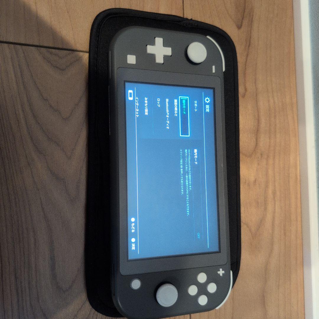 Nintendo Switch Lite グレーケース＆64GBSDカード付き