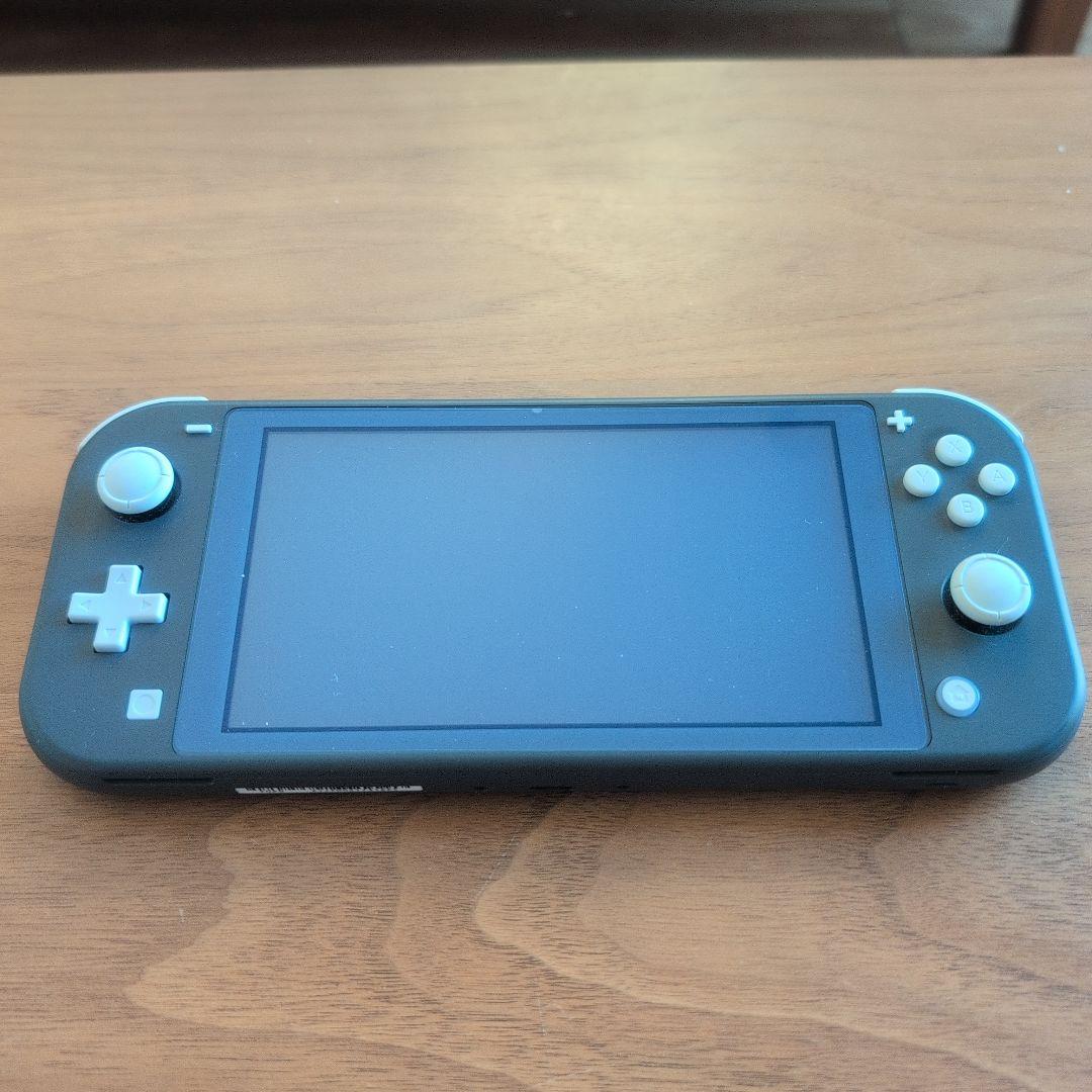 Nintendo Switch Lite グレーケース＆64GBSDカード付き