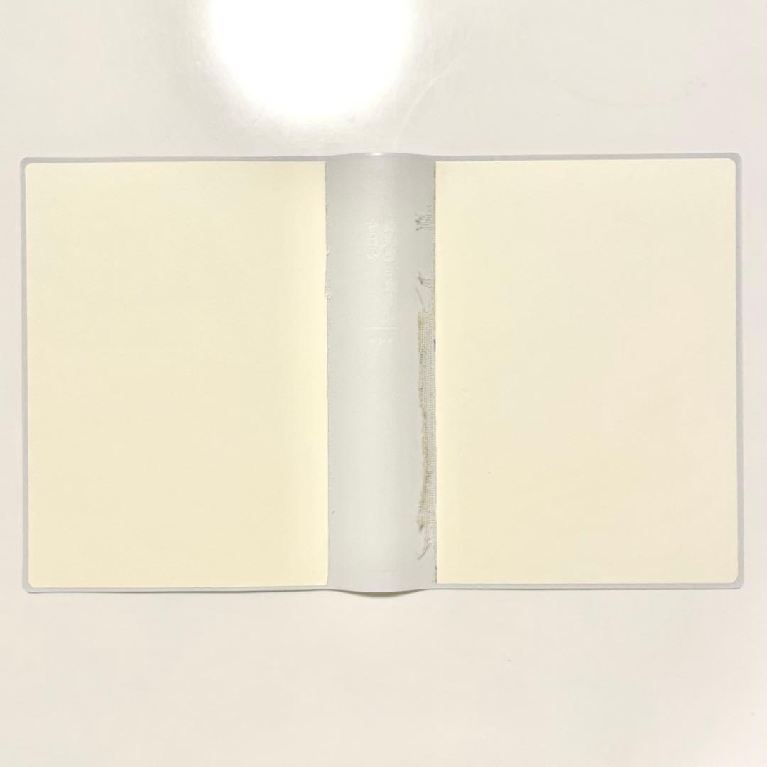 【裁断済み】今日の眼疾患治療指針 第4版