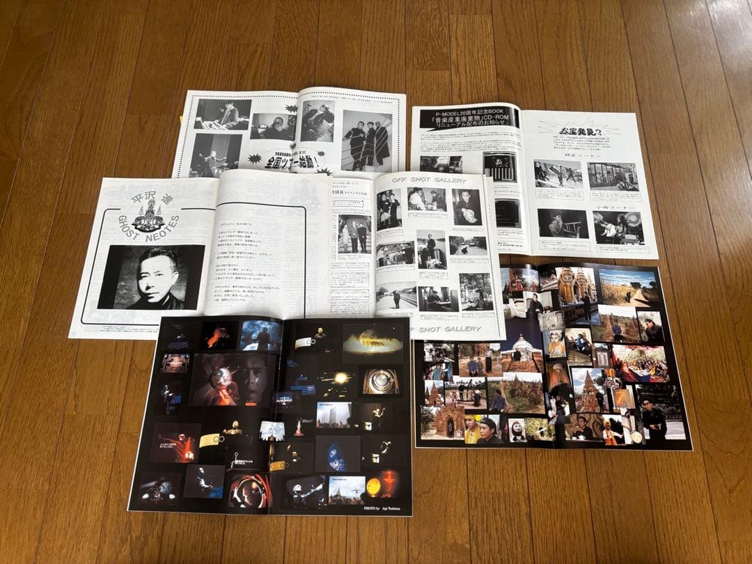 【レア】平沢進ファンクラブ　GREEN NERVE会報　1〜10号　10冊