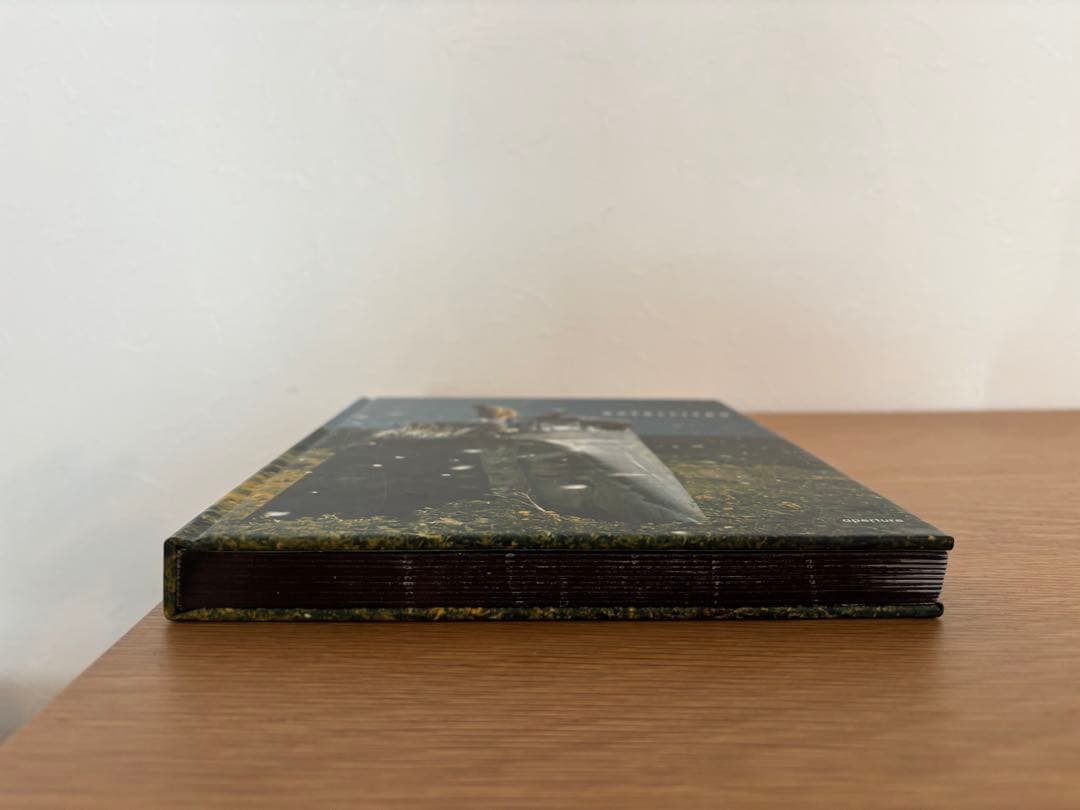 JONAS BENDIKSEN　『SATELLITES』