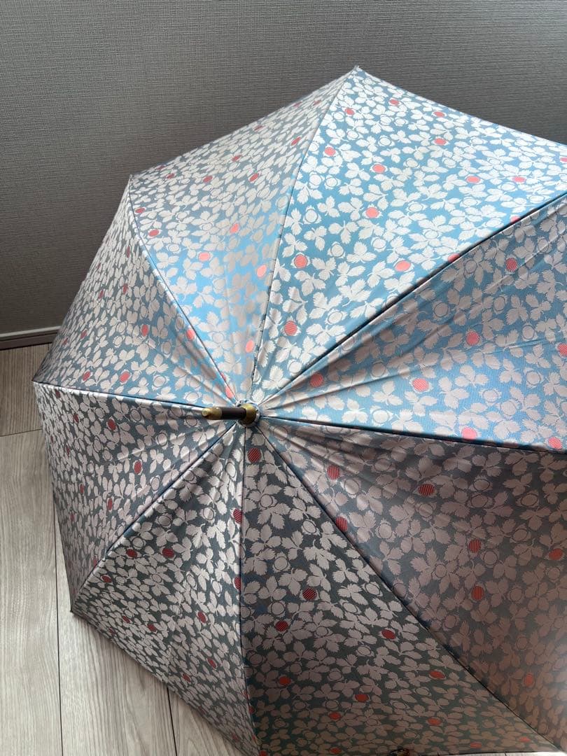 イイダ傘店　雨傘 野いちご ブルーベリー