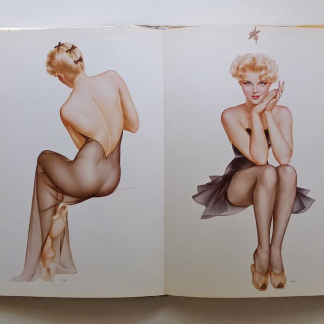 希少「VARGA」画集＋モノ・マガジン特集 ノーズ・アート2冊セット