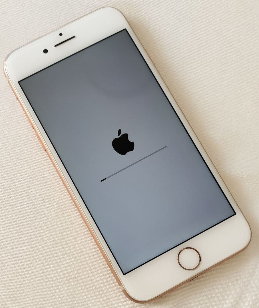 【美品】iPhone8 256GB【完動品】ケース付き