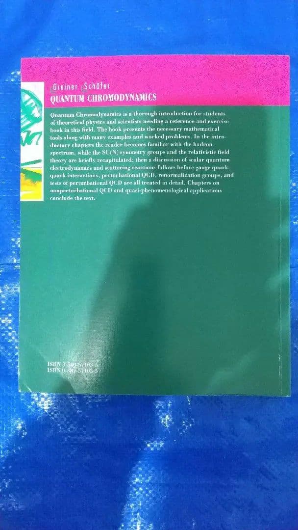 洋書 Quantum Chromodynamics