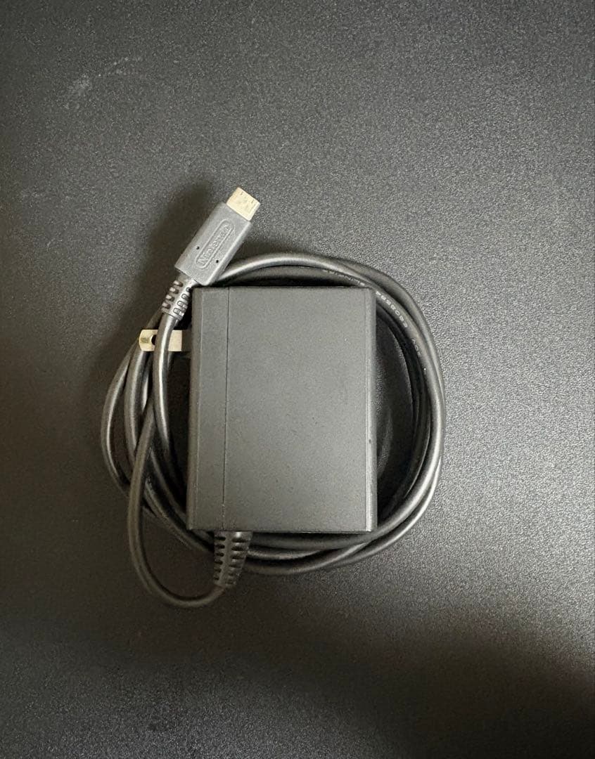 Nintendo Switch Lite ターコイズ 本体＋純正充電器