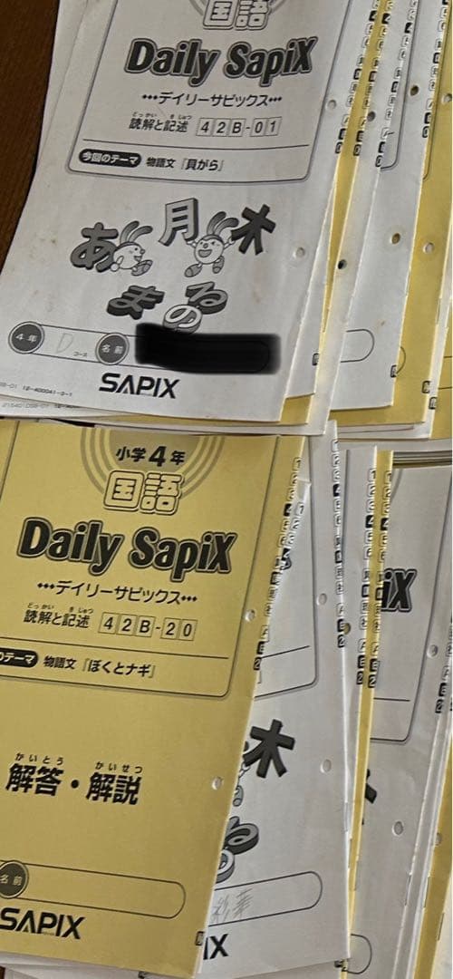 SAPIX 小学4年 国語 デイリー＆春期＆夏期＆冬期 フルセット2015年度版