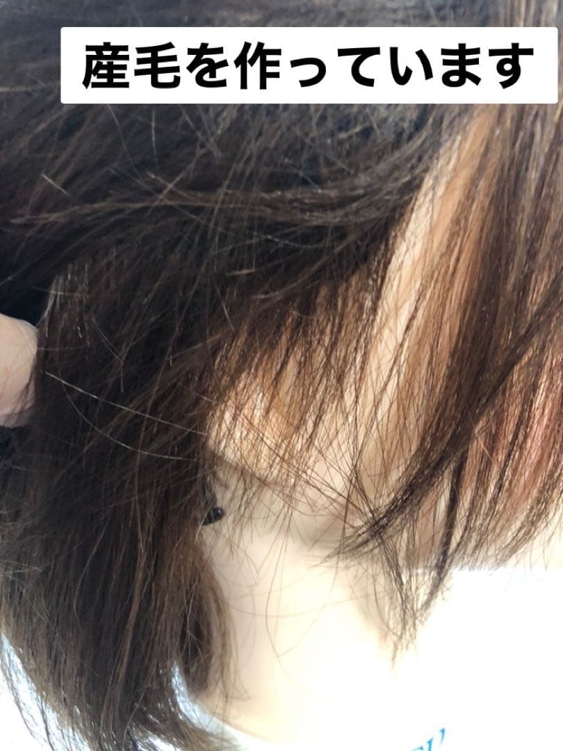 人毛100% ショートボブスタイル　ブラウン　未使用