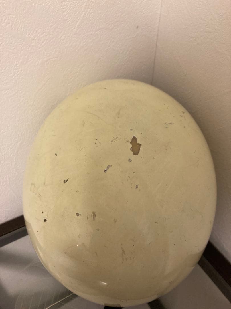 【Sシェル】BUCO トイズマッコイ　スモールブコ　目深加工　500TX