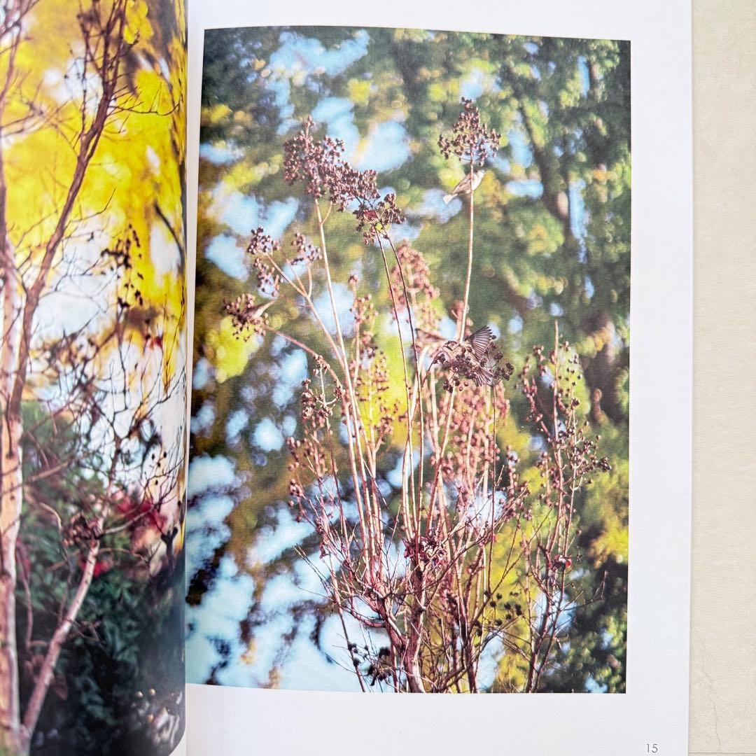 洋書 As the Crow Flies - Terri Weifenbach