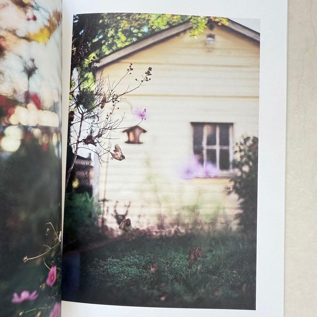 洋書 As the Crow Flies - Terri Weifenbach