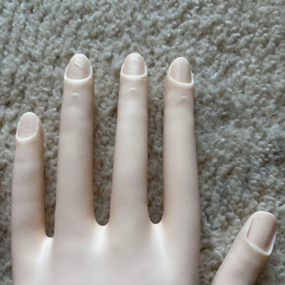 jnec 認定モデルハンド　ネイリスト技能検定