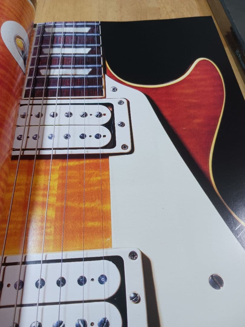 Burst Gang ギターアートブック　バーストギャング1.0