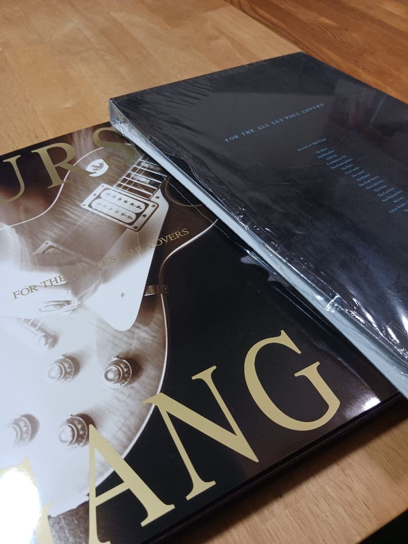 Burst Gang ギターアートブック　バーストギャング1.0