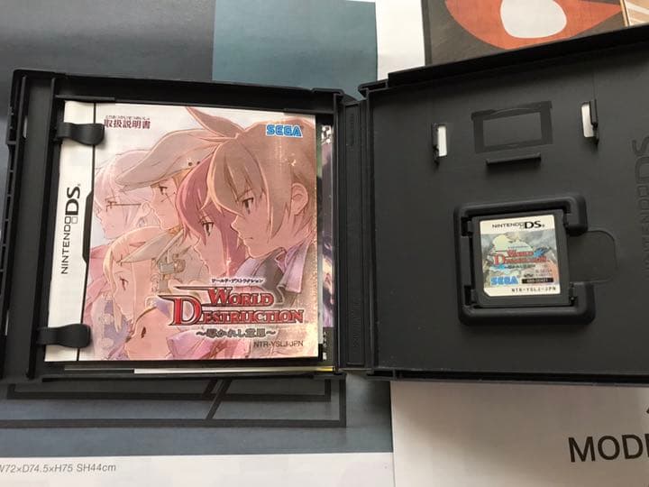 任天堂 DS 本体 ソフト