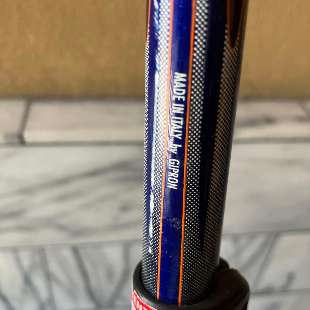  バックカントリー　スキー　2段伸縮ストック