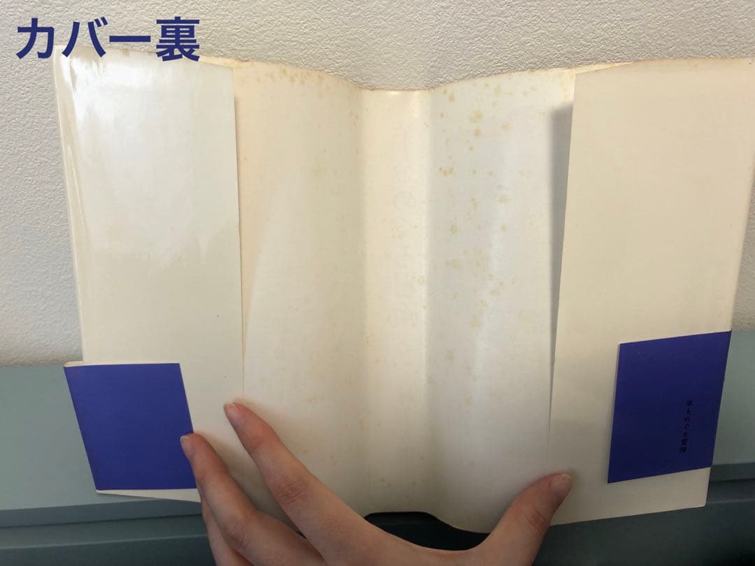 【帯付き・初版】 羊をめぐる冒険　村上春樹　単行本