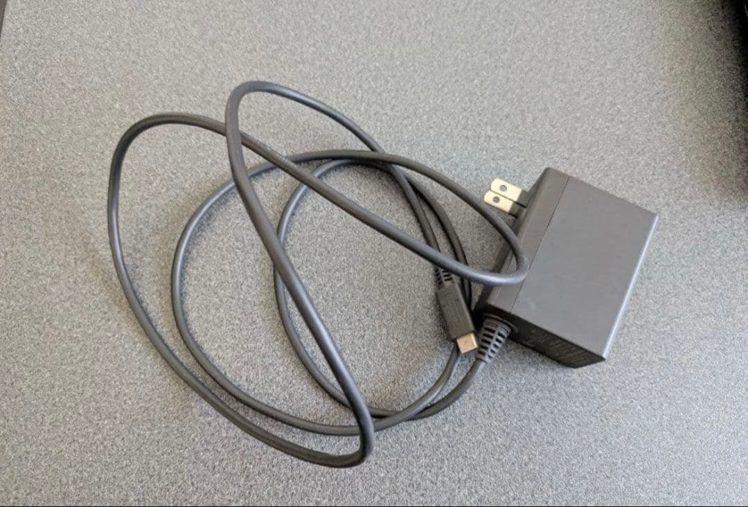 Nintendo Switch Light 本体 グレー ACアダプター付き