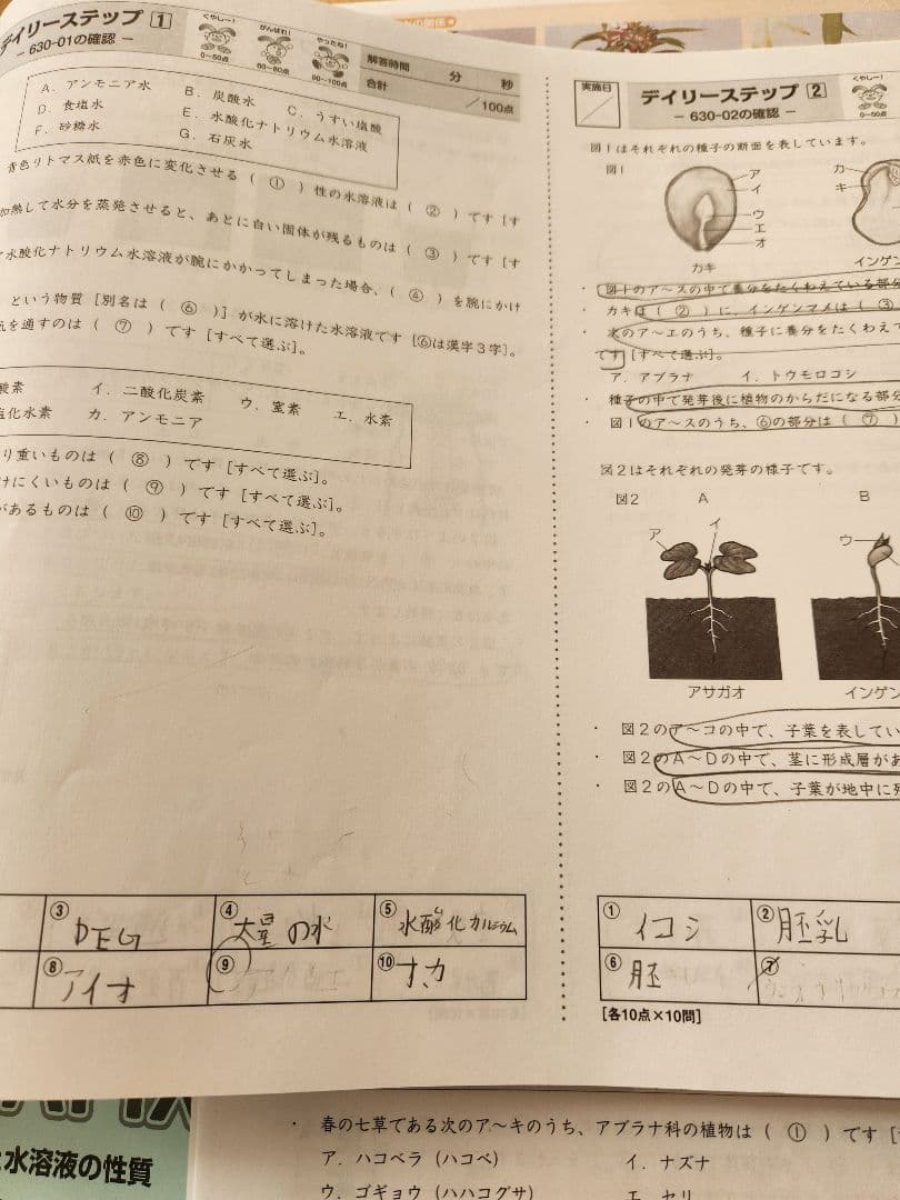 2025年度 サピックス 6年生 理科 欠番なし