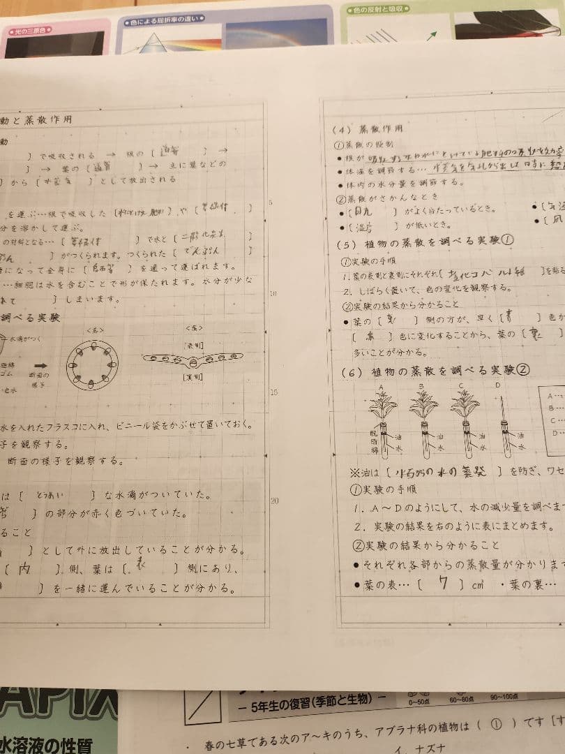 2025年度 サピックス 6年生 理科 欠番なし