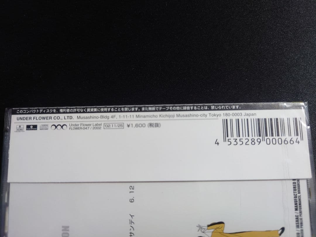 【廃盤】 ASIAN KUNG-FU GENERATION 崩壊アンプリファー