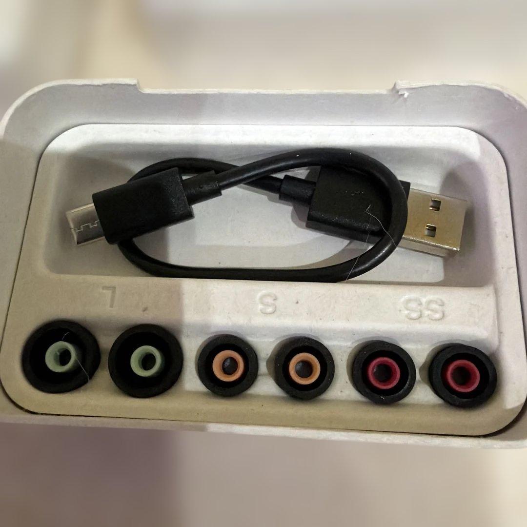 SONY ワイヤレスイヤホン ブラック