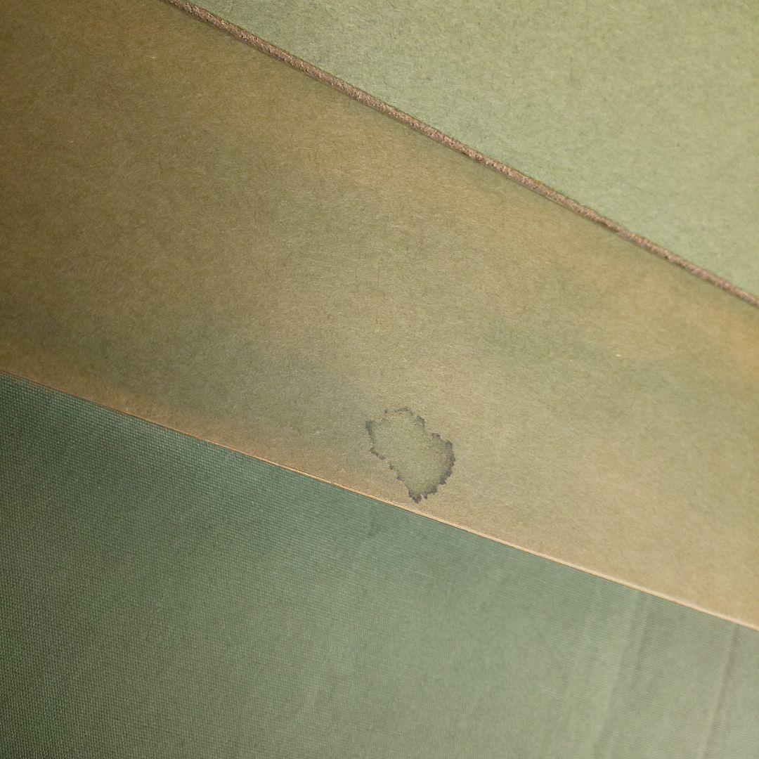 九谷焼 中村陶志人 雀図 初雪雀 額