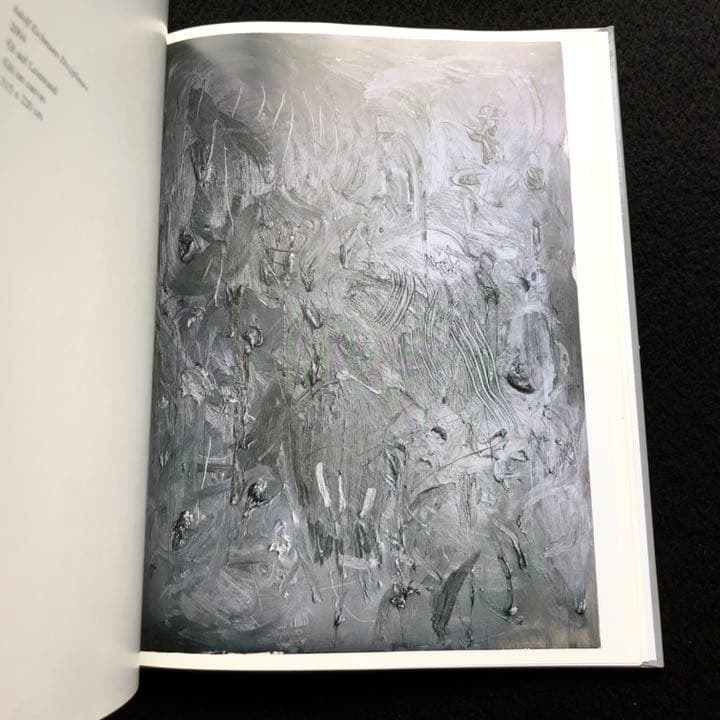 アンドレ・ブッツァー 画集「Andre Butzer」2009年 KERBER