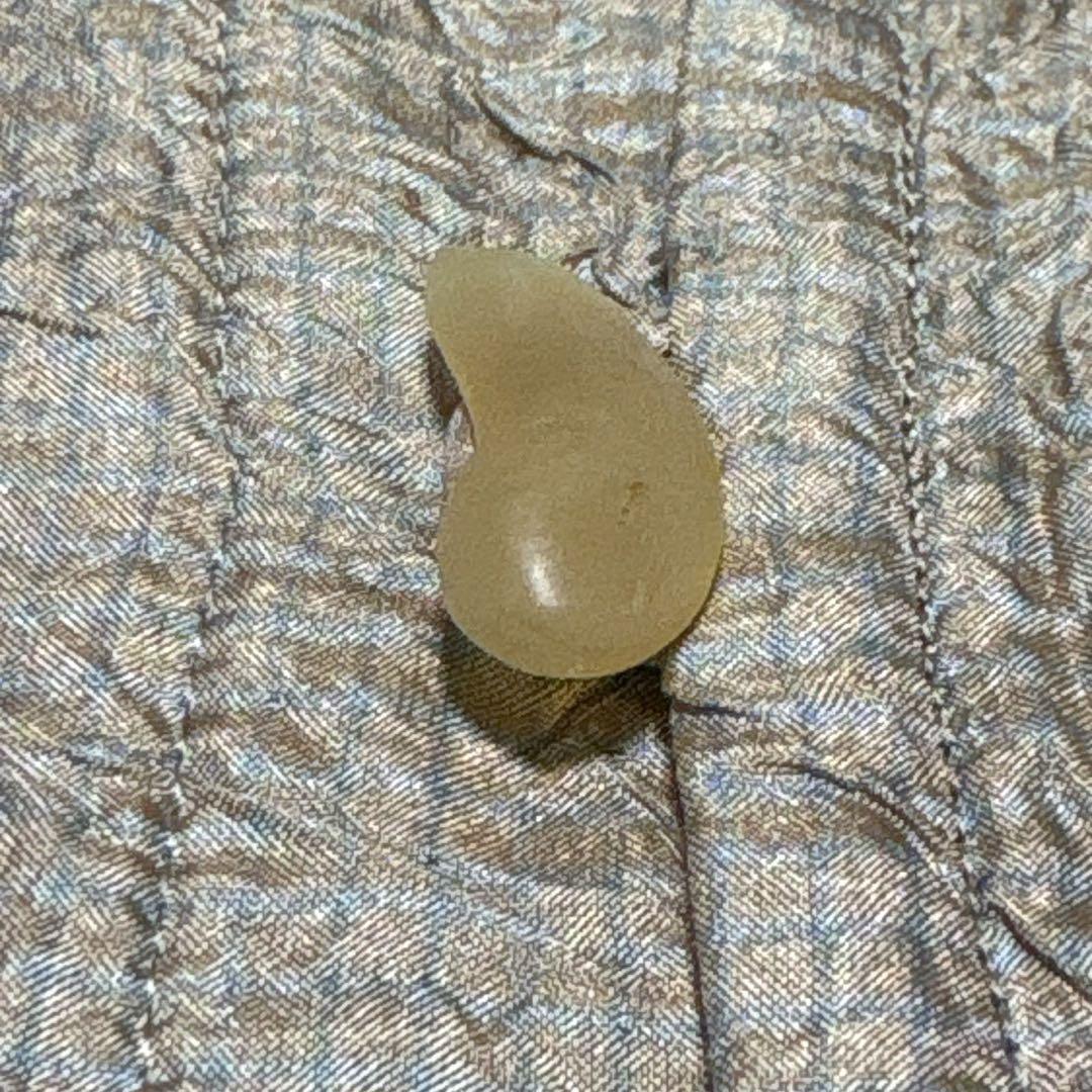 未使用級　ヨーガンレール　シルクコットンダブル　水牛ボタン　24aw 羽織コート