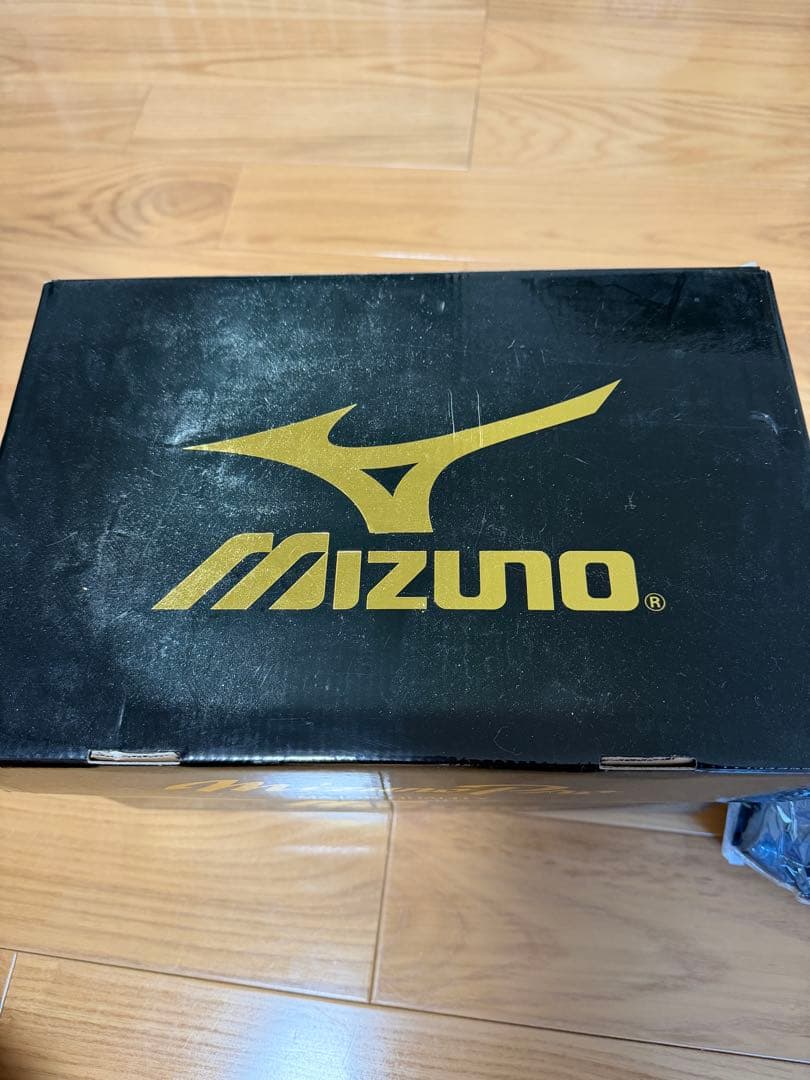 【美品】【投手用】Mizuno Pro硬式グローブ