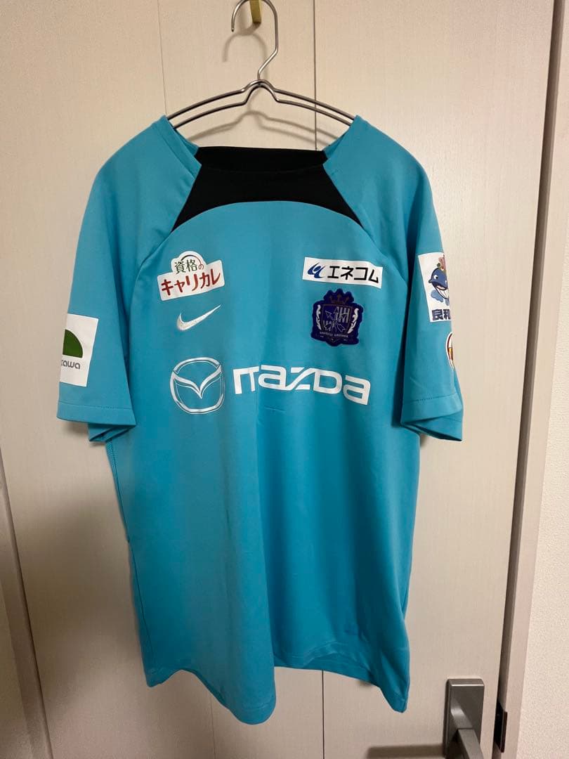 サンフレッチェ広島