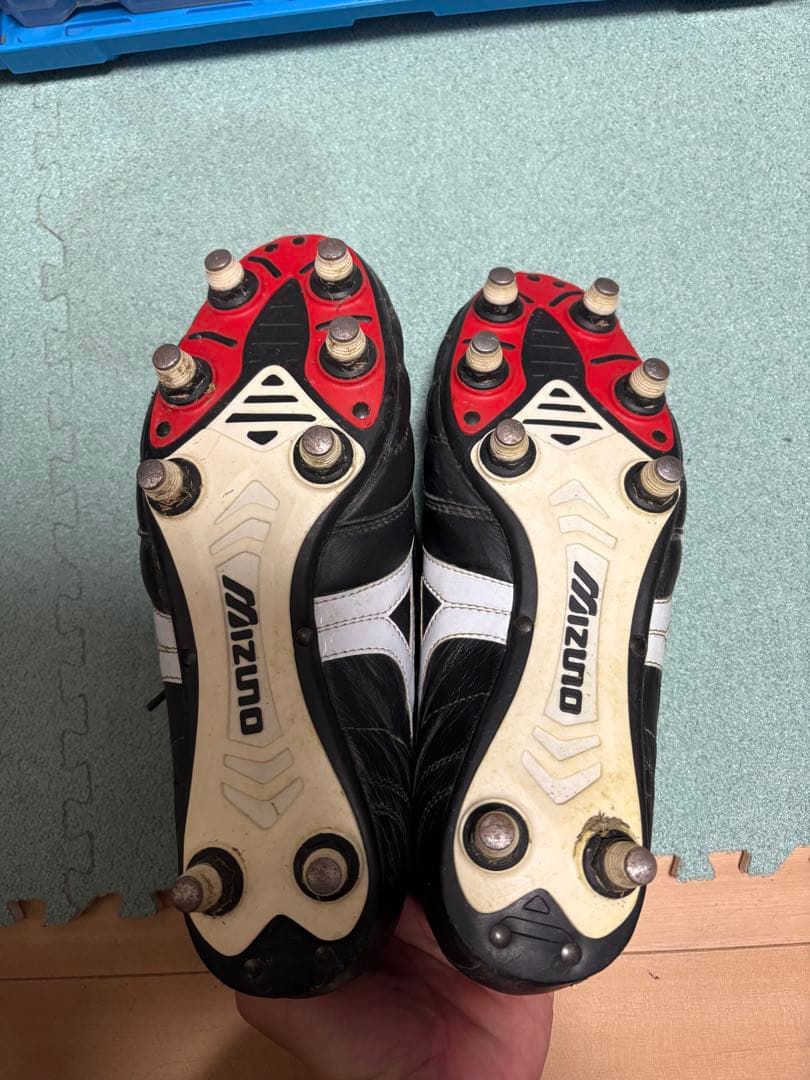 モレリア2 取替式