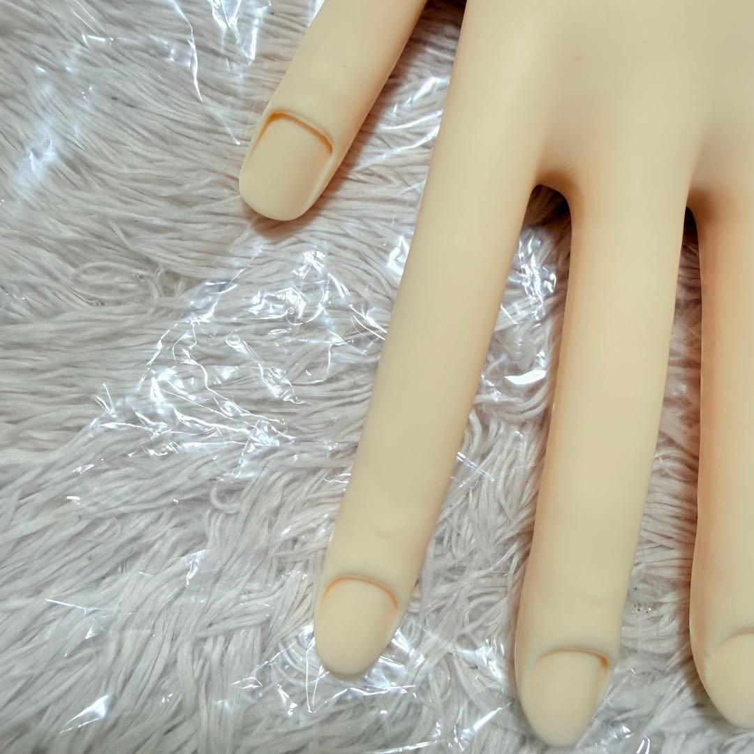 【新品未使用】 ネイリスト技能検定試験用 JNEC認定 STモデルハンドセット