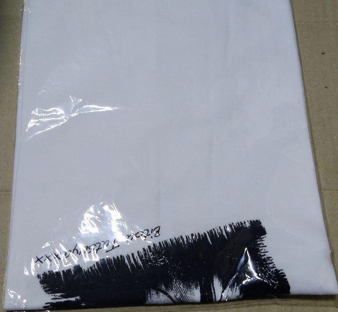 クローズZERO Tシャツ 少年チャンピオン