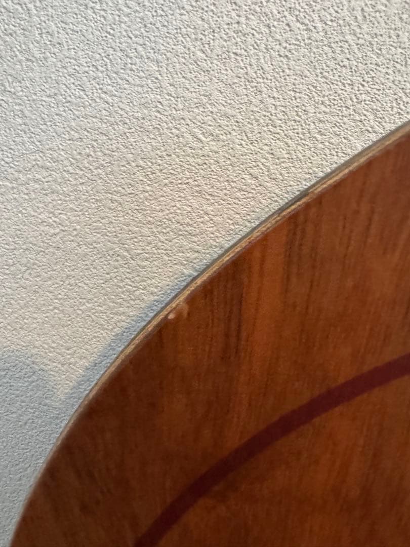 tj brand ナポレオンフィッシュ153