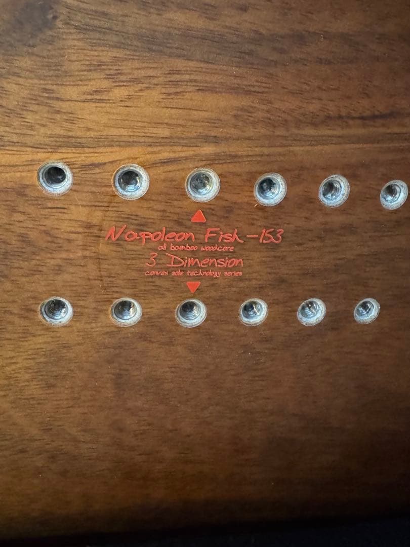 tj brand ナポレオンフィッシュ153