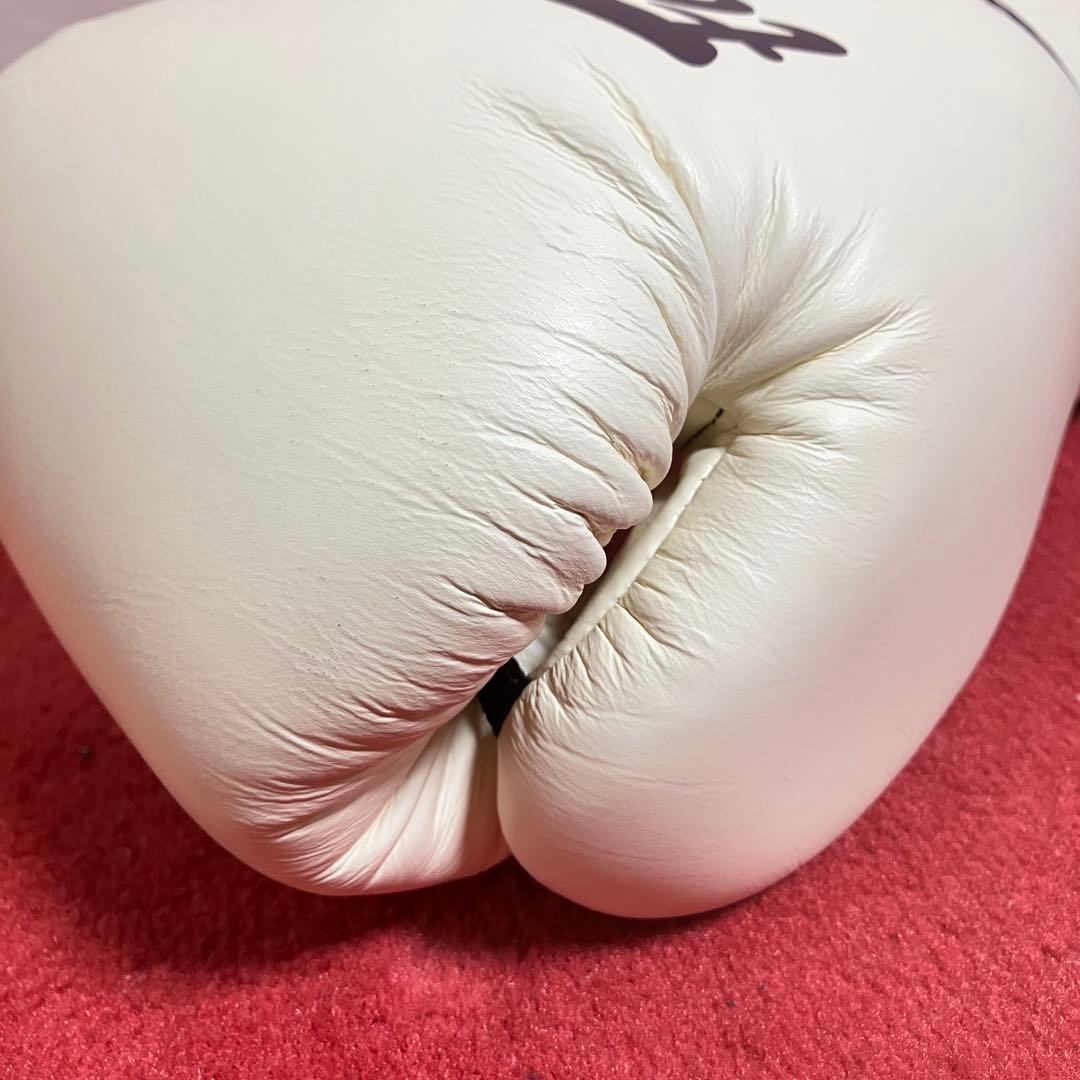 フェアテックス Fairtex グローブ 14 oz ホワイト