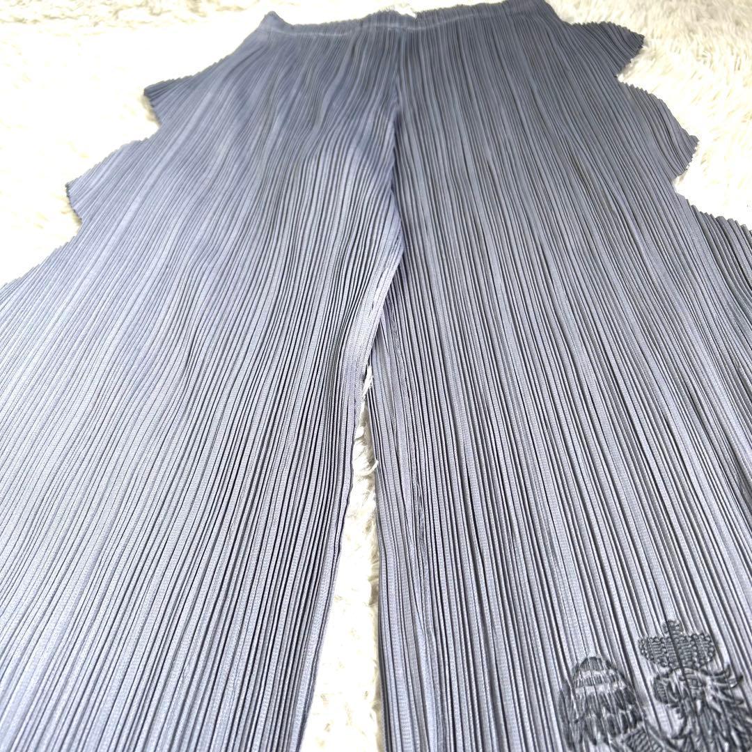 【美品】プリーツプリーズ 希少 変形 ギザギザ 型押し パンツ グレー 1