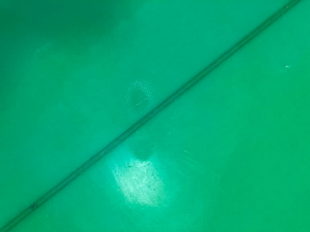 プチプチ付きWILDERNESSセミロングボード7.11