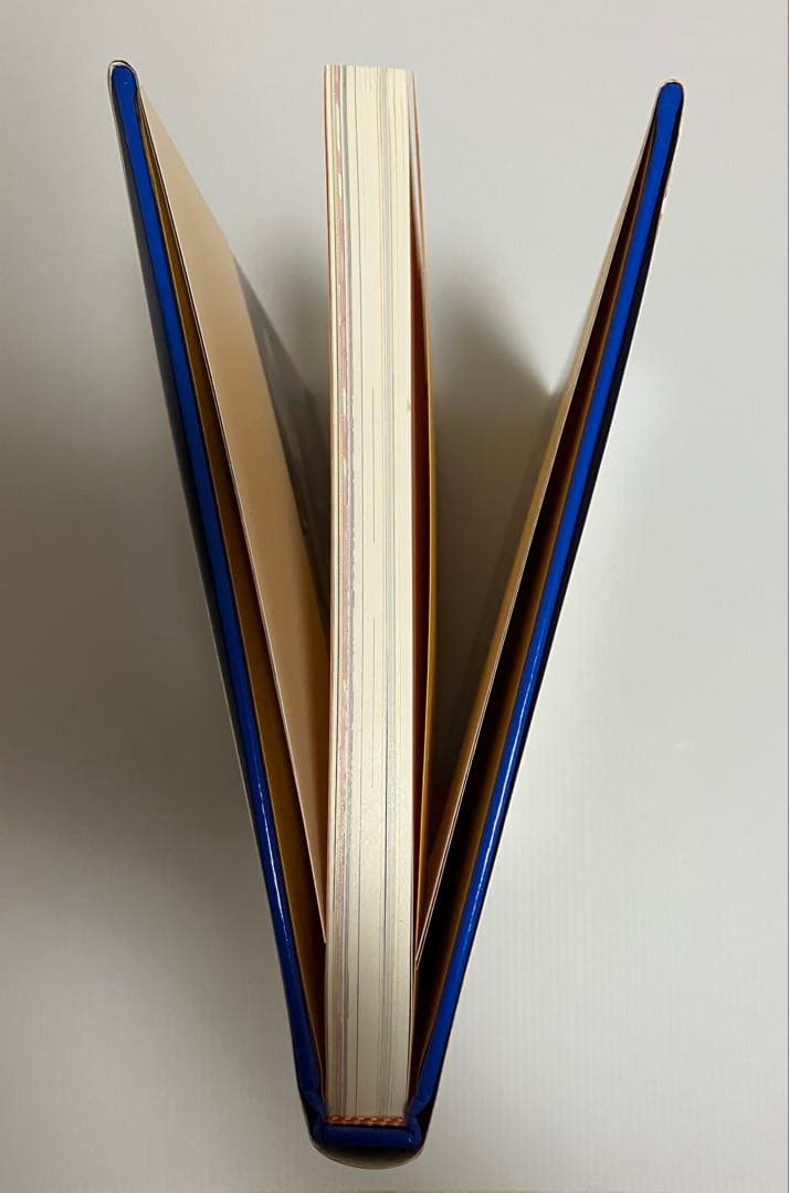 BLOW UP 田名網敬一 1963-1974